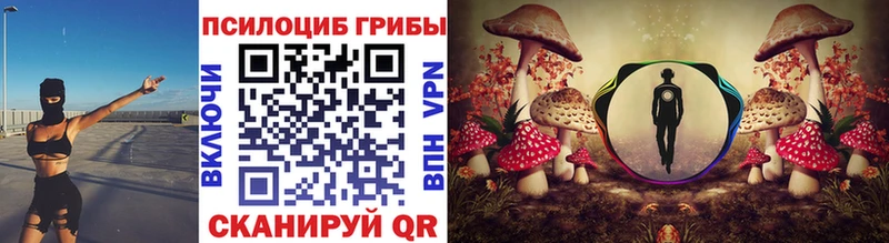 продажа наркотиков  Елец  Галлюциногенные грибы прущие грибы 